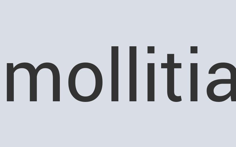 Gorgeous Leather Signity