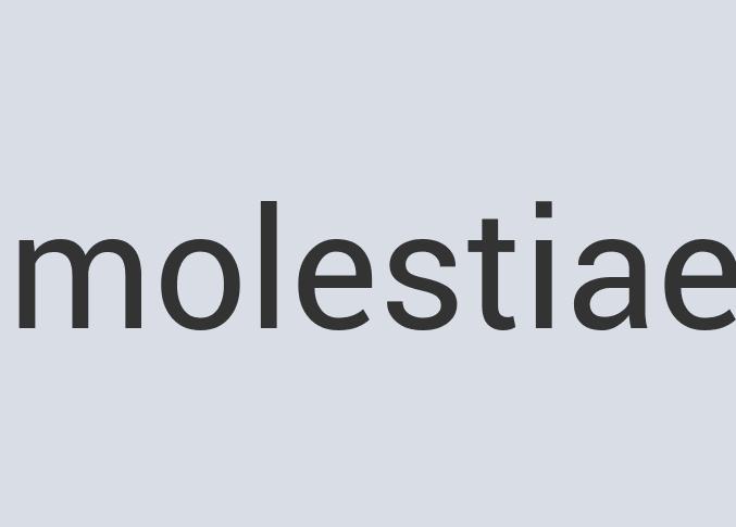 Aerodynamic Aluminum Teraprene