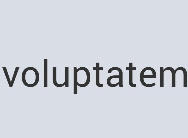 Mediocre Bronze PoshPooch Collars