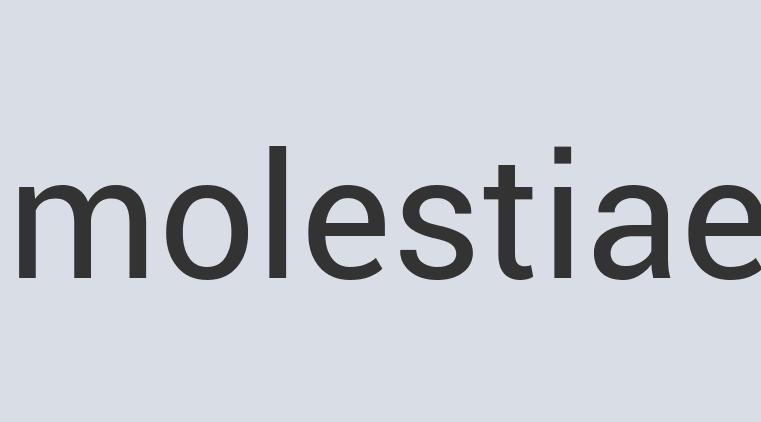 Awesome Wooden DreamTown