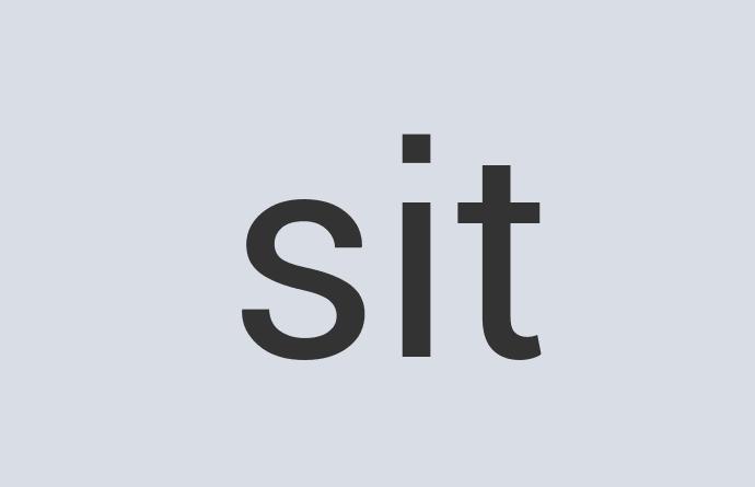 Heavy Duty Iron Kitch Bitch