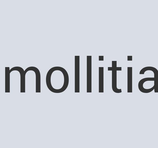 Heavy Duty Iron 33 Record and Vinyl