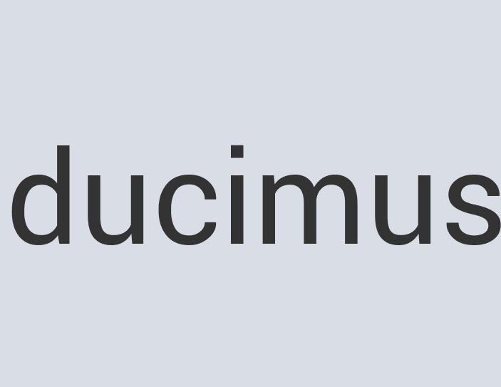 Rustic Iron Snowpoke