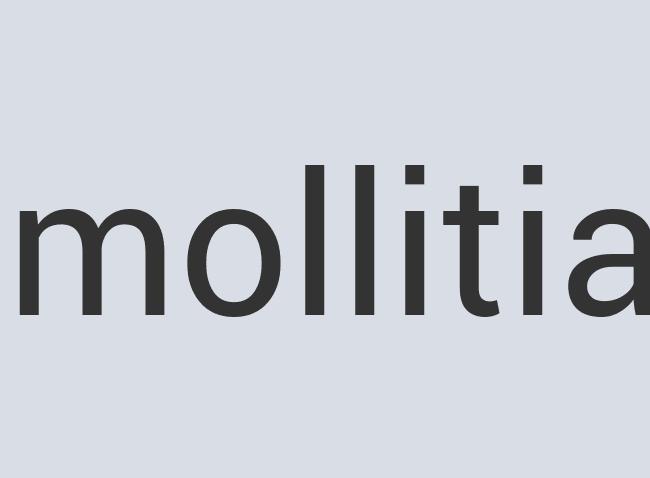 Gorgeous Paper Peruvian Mayonaise