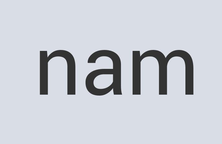 Incredible Plastic CactiDance