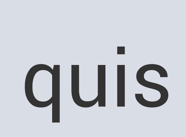 Aerodynamic Wooden GeoDash