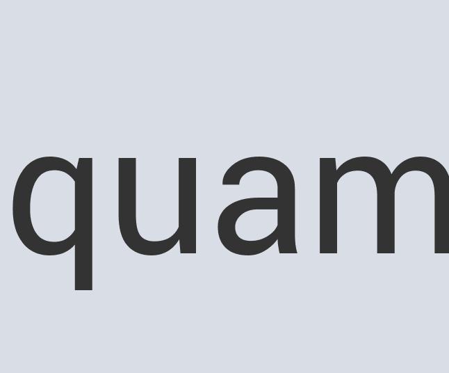 Intelligent Silk Venetian Sack